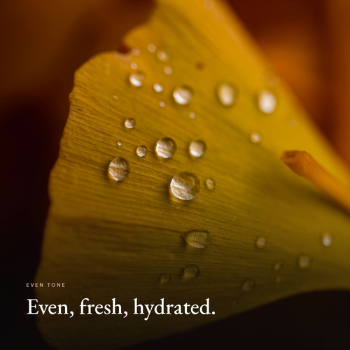 Even, fresh, hydrated mood image for Niacinamide Gel Moisturizer