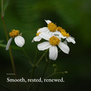 Smooth, rested, renewed mood image for Retinol Alternative Eye Serum