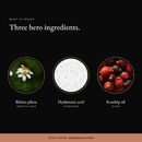 Three hero ingredients in Retinol Alternative Serum: bidens pilosa, hyaluronic acid, rosehip oil