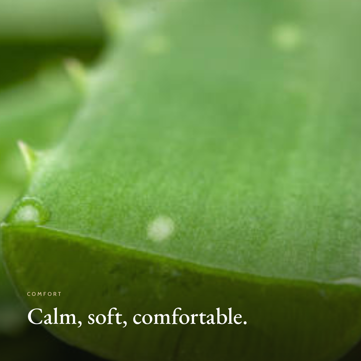 Calm, soft, comfortable mood image for Sensitive Skin Moisturizer