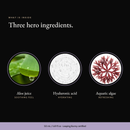 Three hero ingredients in Sensitive Skin Overnight Cream: aloe juice, hyaluronic acid, aquatic algae