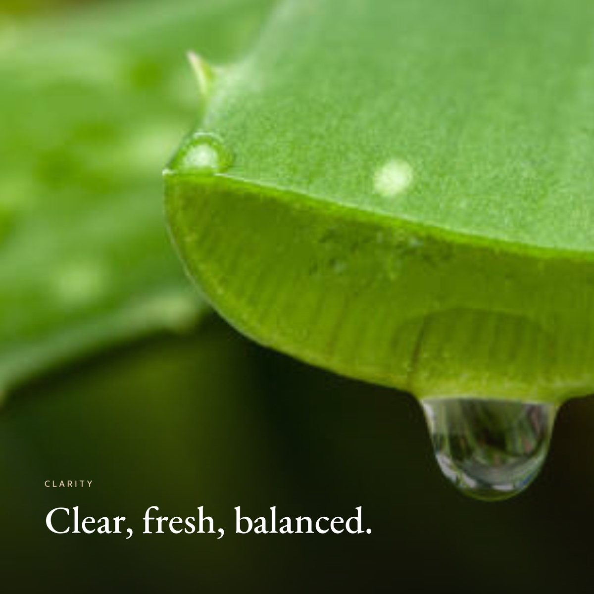 Clear, fresh, balanced mood image for Clear Complexion Trio