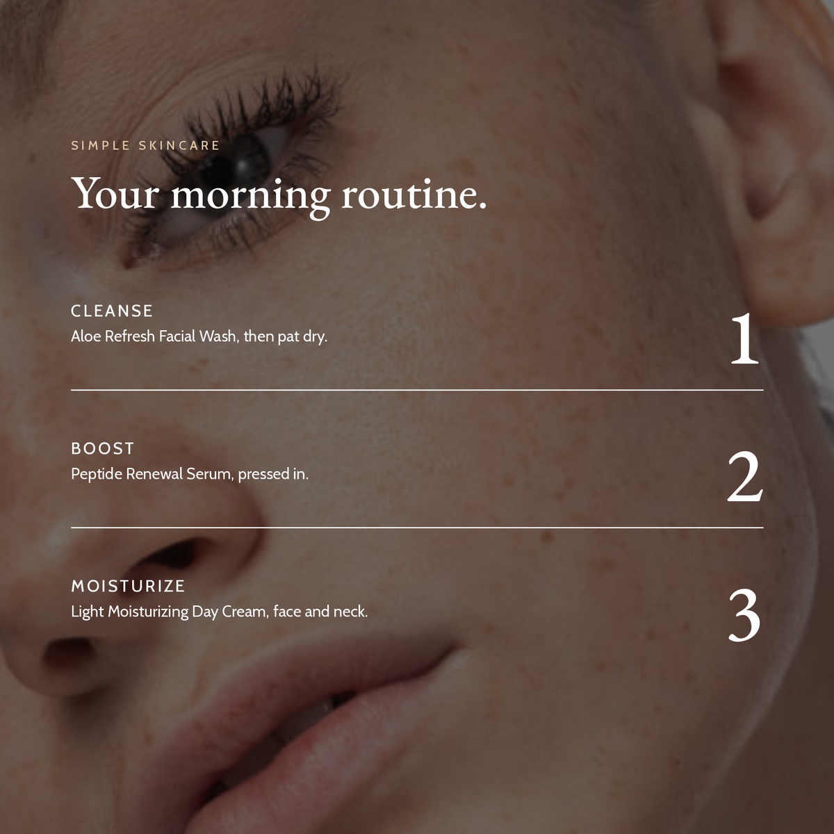 Your morning routine with Peptide Renewal Serum