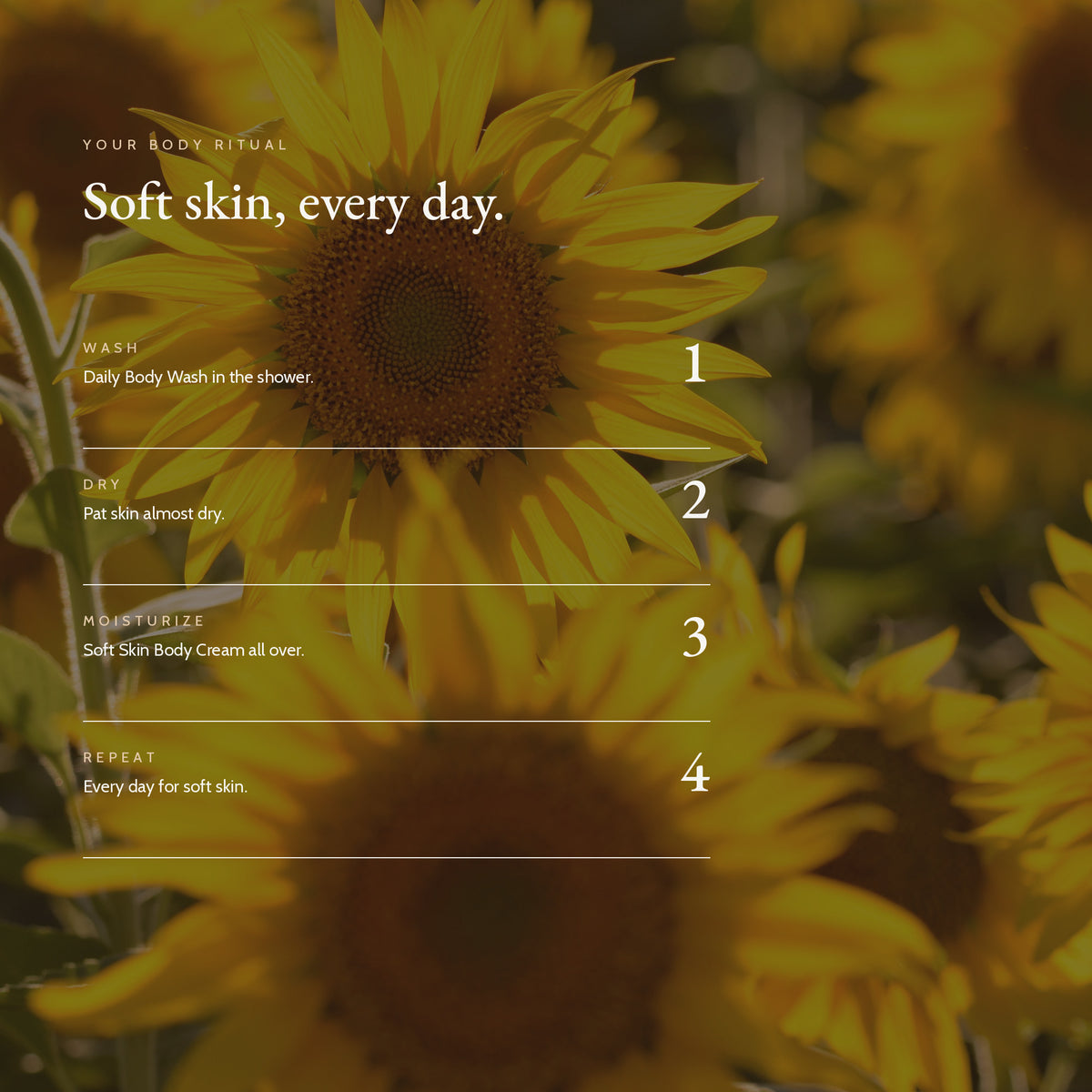 Routine with Soft Skin Body Cream, Garden Dew