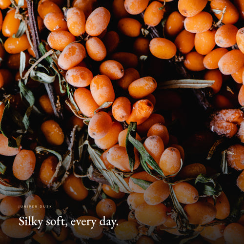 Mood image for Soft Skin Hand Cream, Juniper Dusk