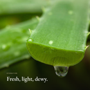 Fresh aloe leaf with a water droplet, hydration mood image for Double Hydration Boost Gel