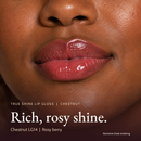 Model wearing True Shine Lip Gloss, Chestnut LG14
