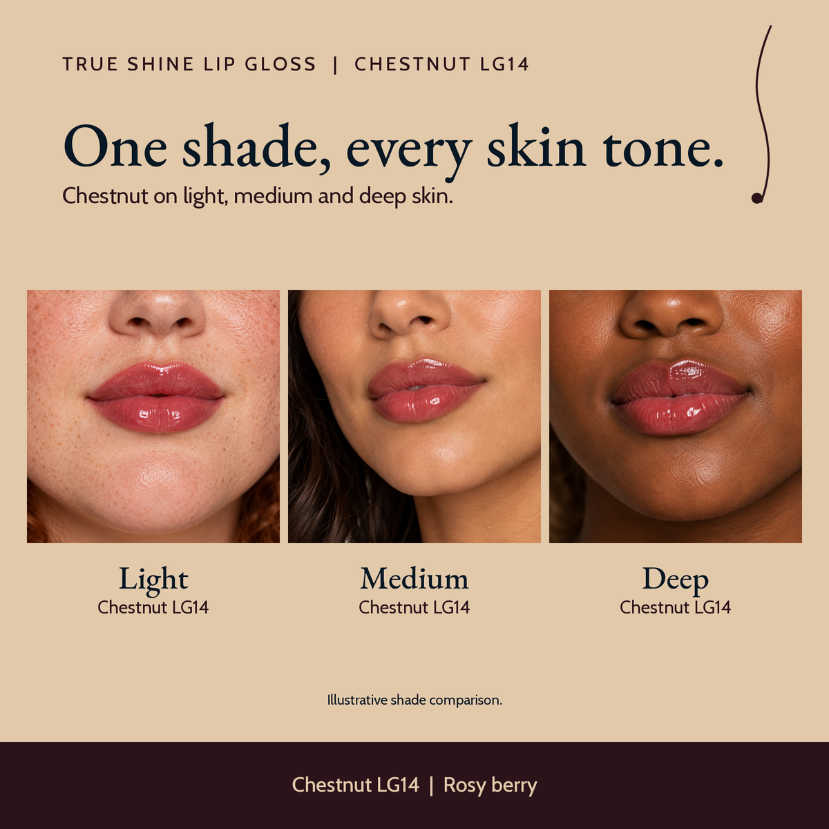 True Shine Lip Gloss, Chestnut LG14 shade comparison