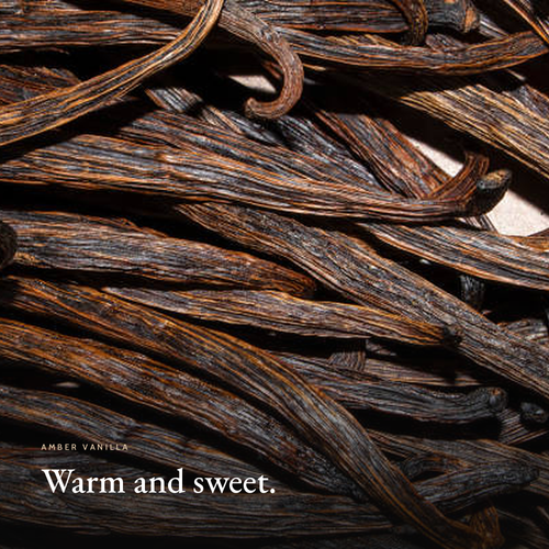 Daily Body Wash Amber Vanilla mood image